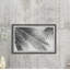 Palm Leaf Shade II - Single Picture Frame Print-1910355175