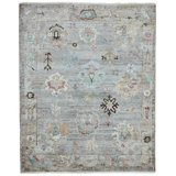 Francessca Hand Knotted Oriental Area Rug in Gray