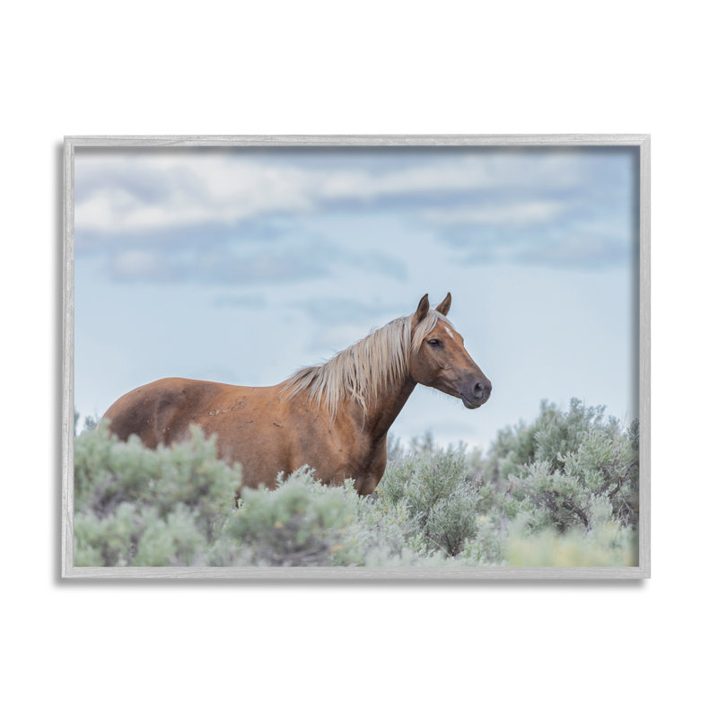 «Stallion Horse parmi les buissons», photo de cadre flottant sur bois, H 24 po x l 30 po x P 1,5 po