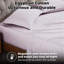 Ensemble de draps unis à poche profonde en mélange de coton égyptien certifié à densité de tissage de 300 fils-1620519254-1648364108