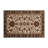 Turkish Brown Indoor and Outdoor Area Rug-140267815