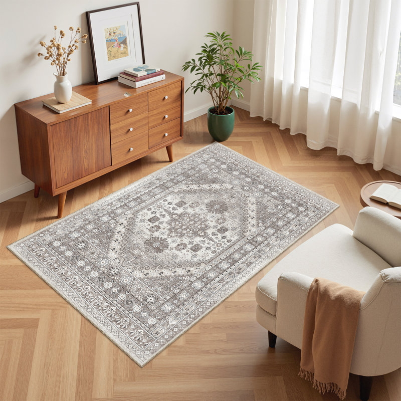 Area Rugs for Living Room,Non-Slip Washable Rugs, Stain Resistant Home Decor Rug, Brun, Rectangle 4pi x 6 pi