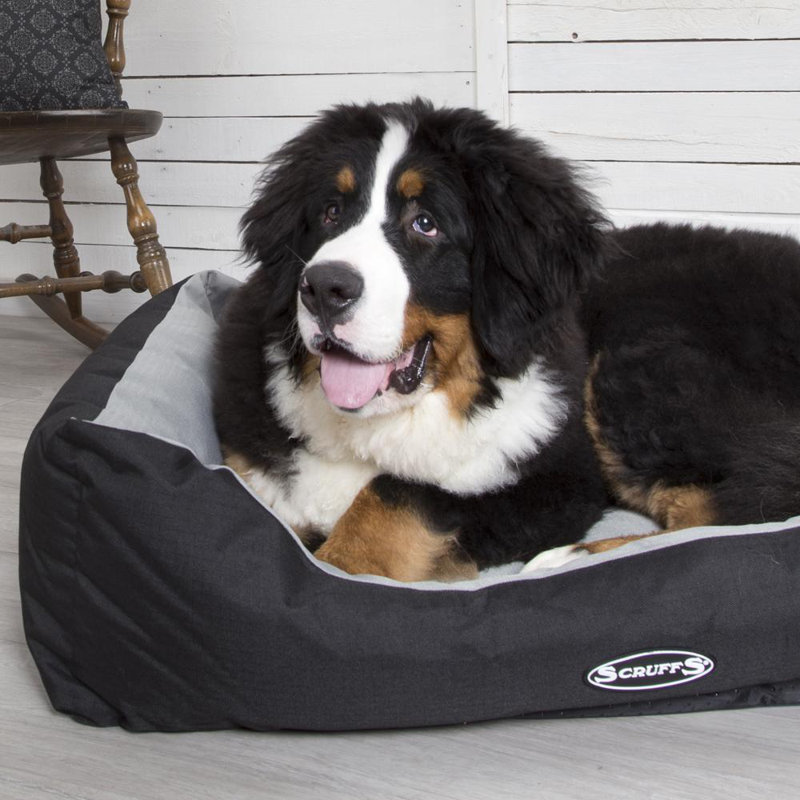 Expedition Polyester Pet Bed, Graphite, 16cm H x 50cm W x 40cm D
