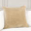 Harriet Pillow Cover & Insert-1703590962-1708268444