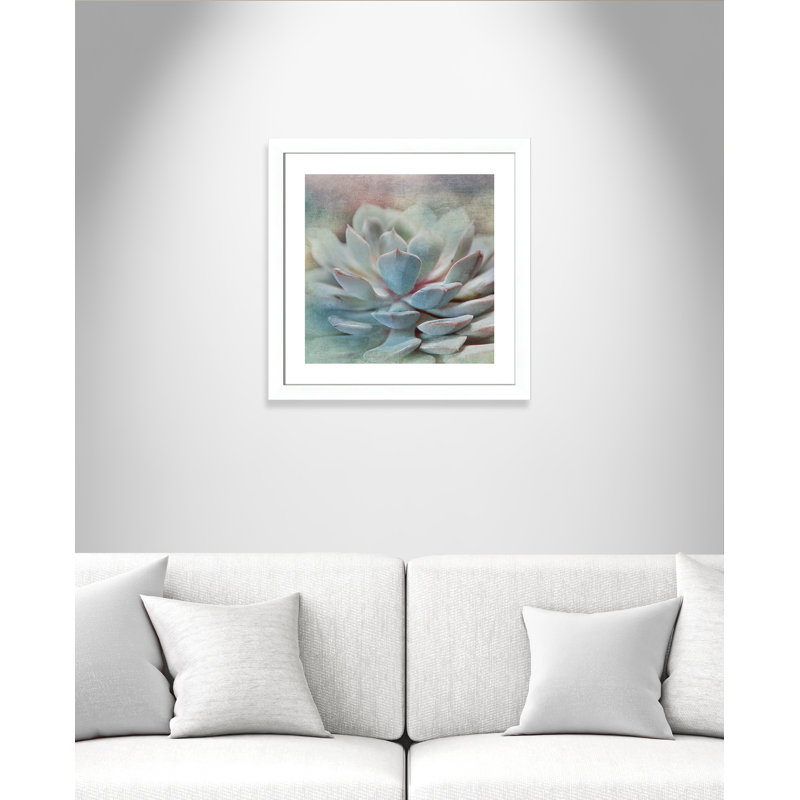 Flaherty Pastel Succulent I - reproduction de photo encadrée sur papier, H 33,5 po x l 33,5 po x P 1,25 po, Blanc mat