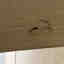 Photos des clients 7 de 7