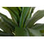 21cm Faux Banana Leaf Plant in Pot