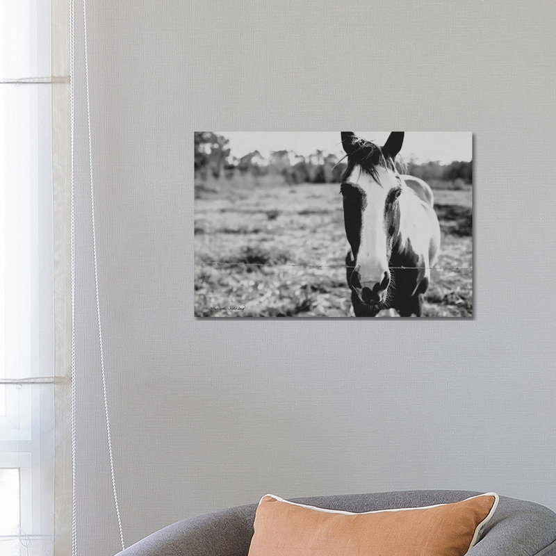 Friendly Horse by Melissa Hanley - Wrapped Canvas Print, 66.04 cm H x 45.72 cm W x 1.91 cm D