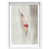 White Shadowbox
