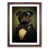 Walnut Framed