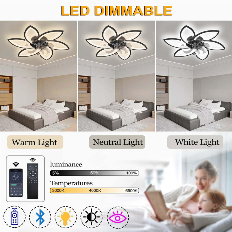 Ceiling Fan with LED Lights