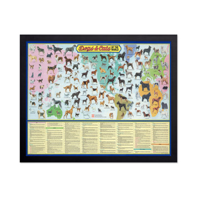 Chiens et chats du monde
