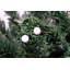 Lighted Artificial Christmas Tree-997860831