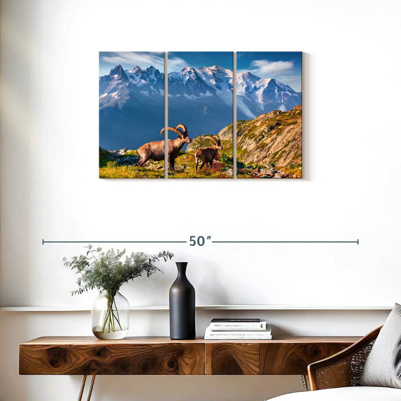 Alvord Mont Blanc Ibex, 20" H x 33" W