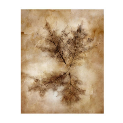 Autumnal Leaves II Print by Mari Urasawa