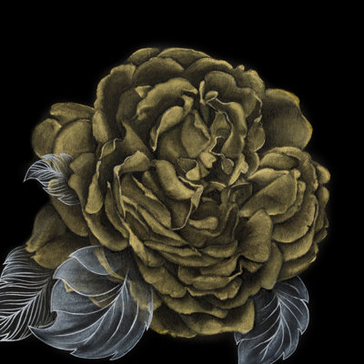 River Roses II by Lily Liama - Wrapped Canvas Painting