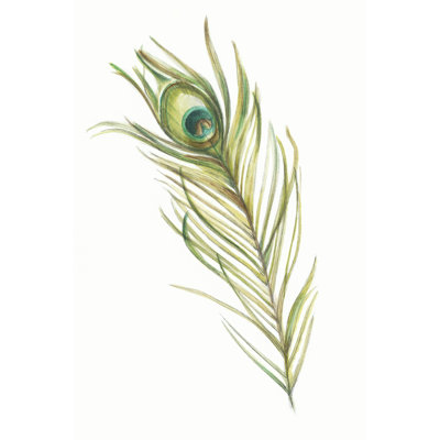 Peacock Feather I - Wrapped Canvas Painting