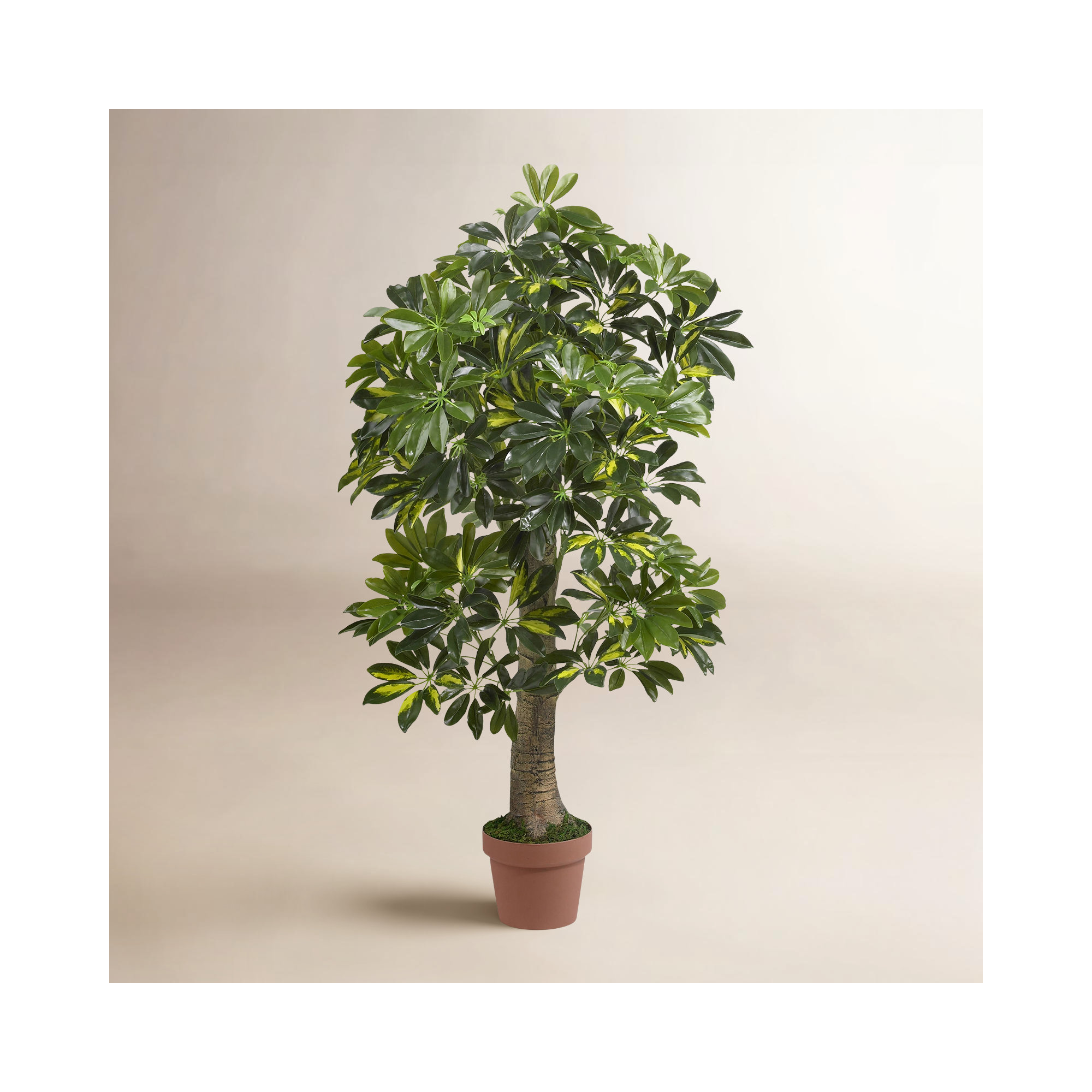 48'' Faux Foliage Tree in Pot