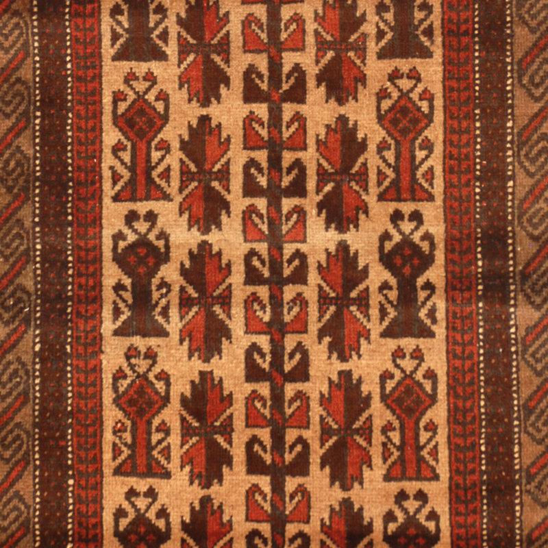 Perrone Wool Oriental Indoor Rug