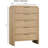 1pc Transitional Style Chest