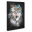 Wolf - Wrapped Canvas-56644614
