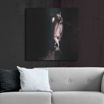 Tevy' by Susan Friedman, Metal Wall Art