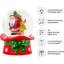 Christmas Snow Globe
