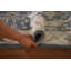 Tapis de couloir bleu 3 pi Oushak