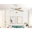 Asimakis 110cm Ceiling Fan with LED Lights