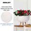 Concrete Effect Bowl Planter on Hardwood Legs, Round Indoor Plant Pot Stand for Indoor Plants, Shallow Planter with Honeycomb Pattern-1232425387-1232425385