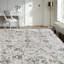 Rosemarie Silk Abstract Area Rug in Gray/Ivory-685191185
