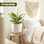 Pot Planter