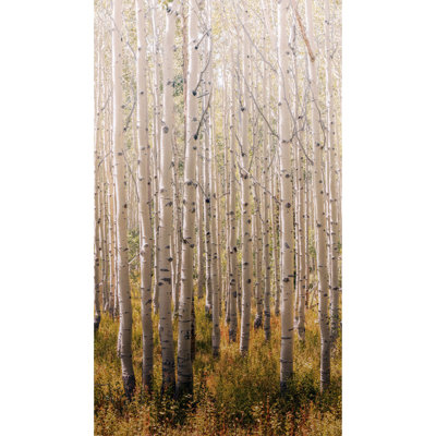 Orom II Collection Tall Trees 62.5-inches wide x 9.18-feet high 3-panel Wall Mural