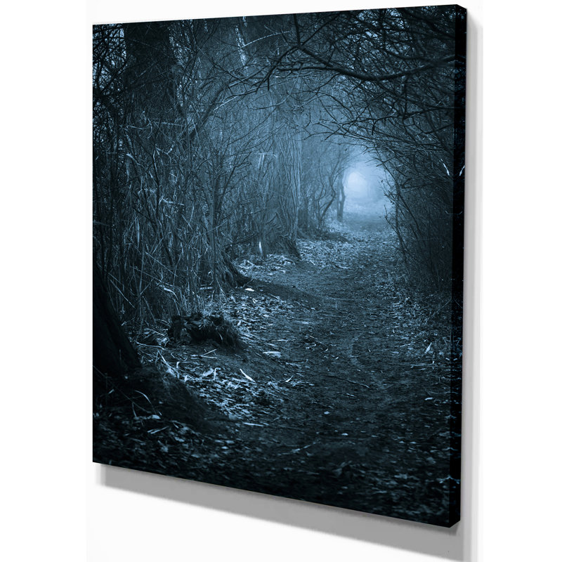 « dark passage » par forest», reproduction de photo sur toile tendue paysages, H 20 po x l 12 po x P 1po