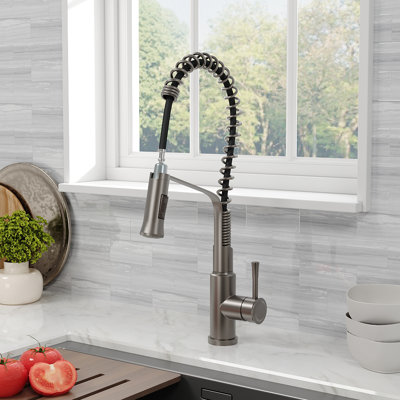 Belfry Kitchen Leinbach Pull Out Kitchen Faucet