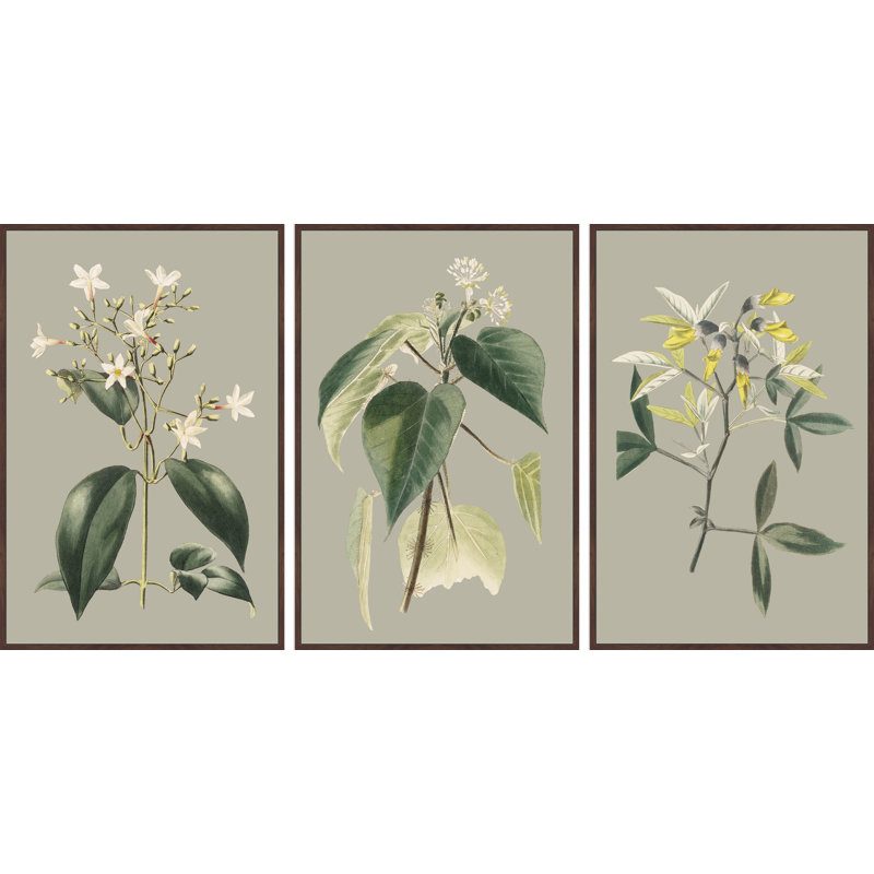 Tiny Blooms 3-Piece Print on Canvas, 18" H x 12" W x 1.5" L