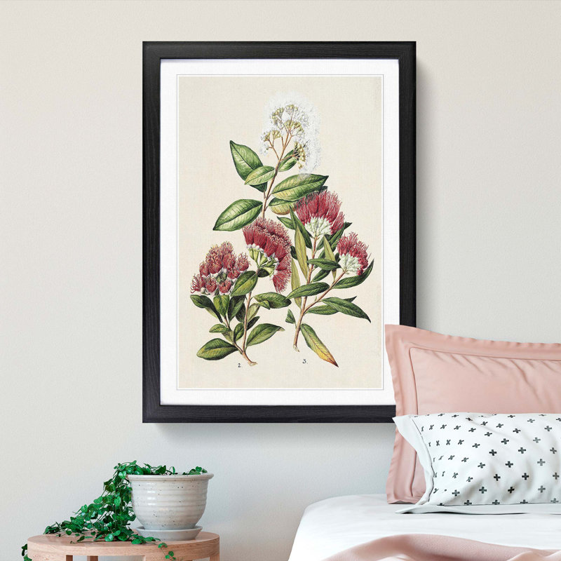 Rata Flowers by Sarah Featon - Framed Print, 36cm H x 27cm W x 2cm D, Black Framed