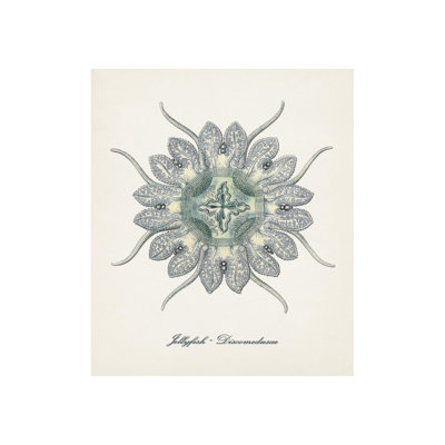 Nautical Art I Print by Sofia Fox