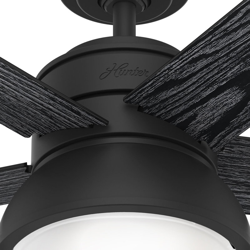 Lilliput 44" 5-Blade Standard Ceiling Fan With Lights And Pull Chains, Black with Black Blades