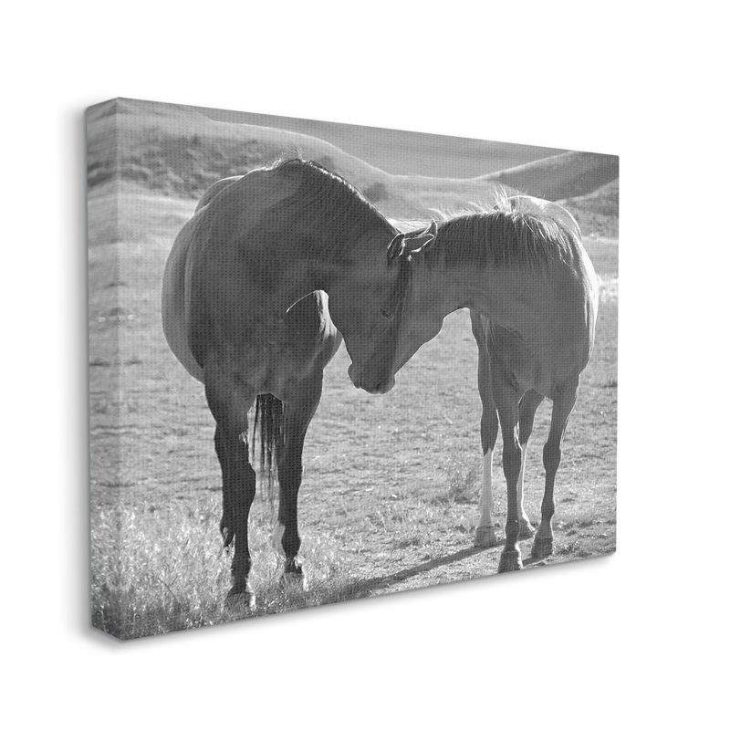 Chevaux étreignant la photographie par Steve Toole, H 24 po x l 30 po x P 1,5 po, Giclée encadrée noir minuit