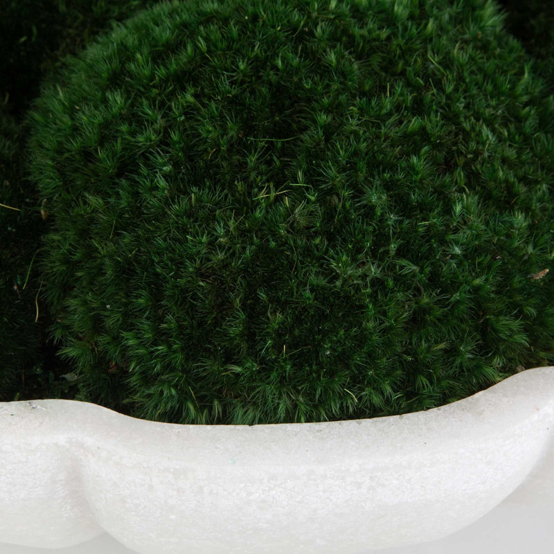  Awaken Moss Centerpiece