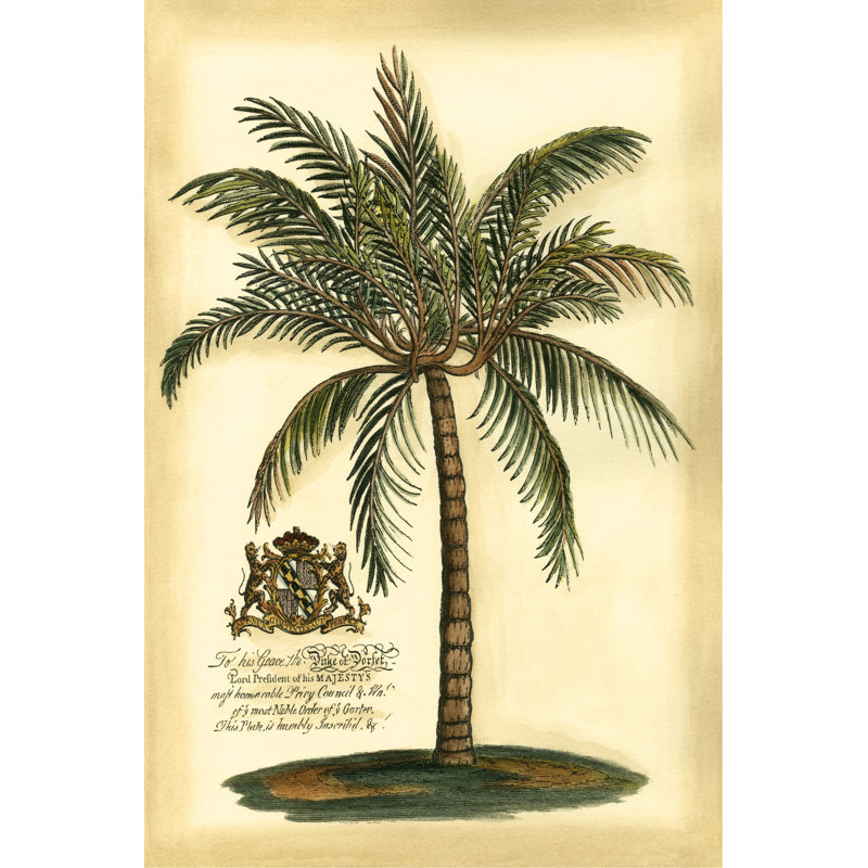 British Colonial Palm III, H 30 po x l 20 po x P 1,25 po