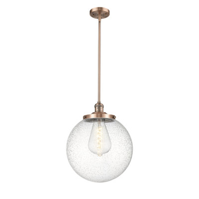 Luminaire suspendu simple à 1 lumière Frederick