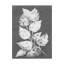 « frosty philodendron ii », reproduction sur toile tendue-33516248