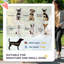 Collapsible Pet Carrier-981151263