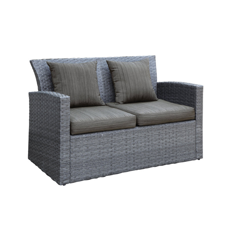 Camille 49.63'' Wide Rectangle Metal Loveseat with Cushions