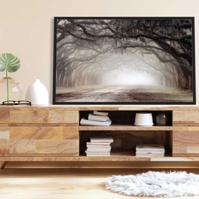 706-6157 Timeless Plantation Drive by Danita Delimont - Wrapped Canvas Painting