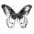 White Insect Tablecloth - Black Butterfly Home Decor