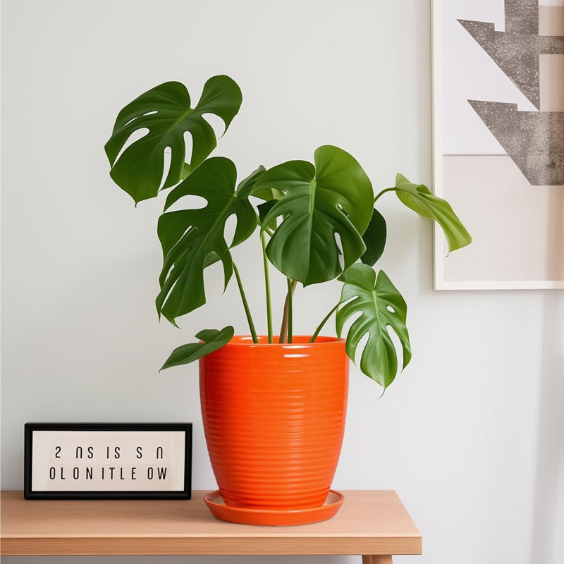 8 Inch Orange Ceramic Planter Pot