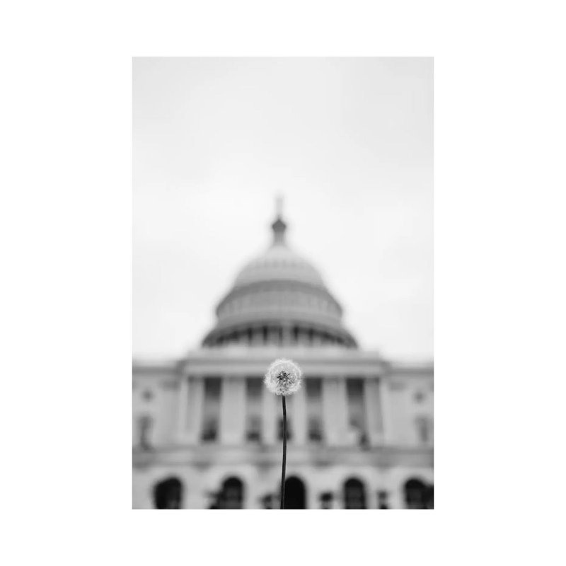 American Wishes 1 Piece Wall Art on Canvas, 66.04cm H x 45.72cm W x 1.91cm D, Wrapped Canvas